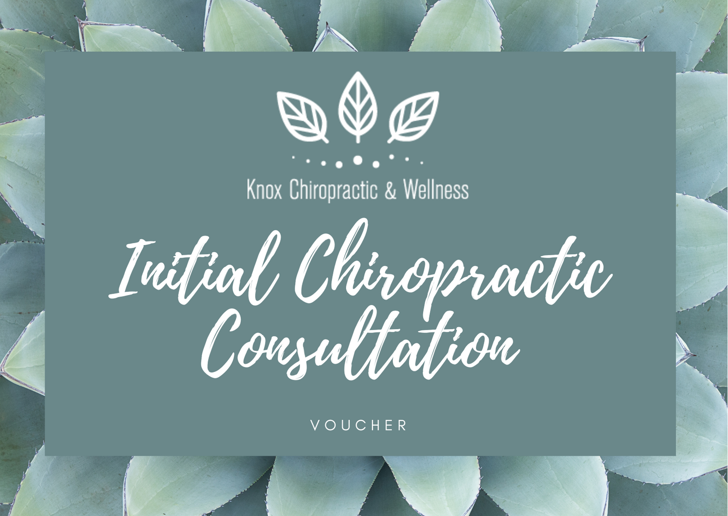 Chiropractic Initial Consultation - Voucher