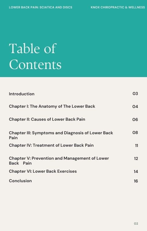 eBook - Lower Back Pain : Sciatica & Discs