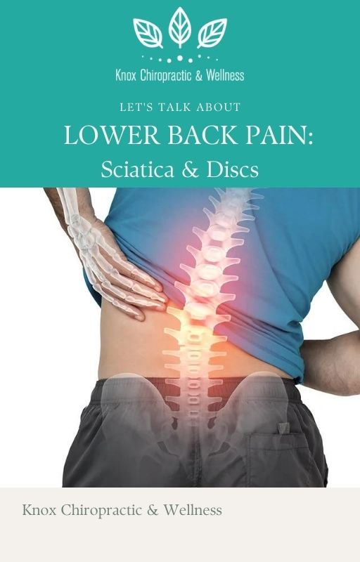 eBook - Lower Back Pain : Sciatica & Discs